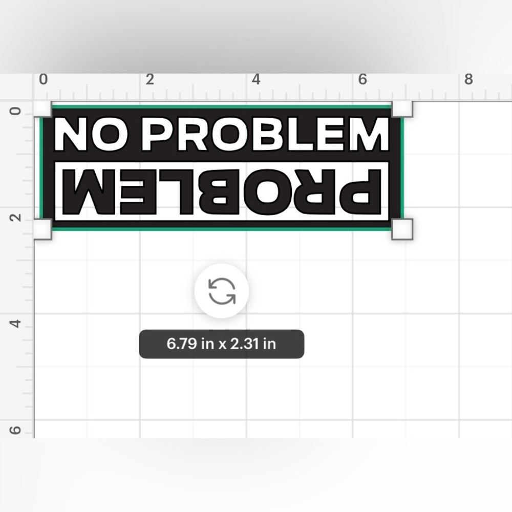No Problem/Problem Vinyl Decal ✨ - Picture 2 of 3